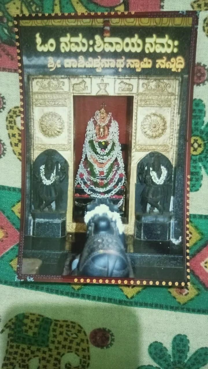 ಮಹಾ ಶಿವರಾತ್ರಿ ಹುಣಸಿನಕೆರೆ ಬಡಾವಣೆ ಶ್ರೀ ಕಾಶಿ ವಿಶ್ವನಾಥ ದೇವಾಲಯದಲ್ಲಿ 101 ಲೀ. ಹಾಲಿನ ಅಭಿಷೇಕ, ಭಜನೆ ಹಾಡುಗಾರಿಕೆ ಕಾರ್ಯಕ್ರಮ. ಮಹಾ ಶಿವರಾತ್ರಿ ಹುಣಸಿನಕೆರೆ ಬಡಾವಣೆ ಶ್ರೀ ಕಾಶಿ ವಿಶ್ವನಾಥ ದೇವಾಲಯದಲ್ಲಿ 101 ಲೀ. ಹಾಲಿನ ಅಭಿಷೇಕ, ಭಜನೆ ಹಾಡುಗಾರಿಕೆ ಕಾರ್ಯಕ್ರಮ.
